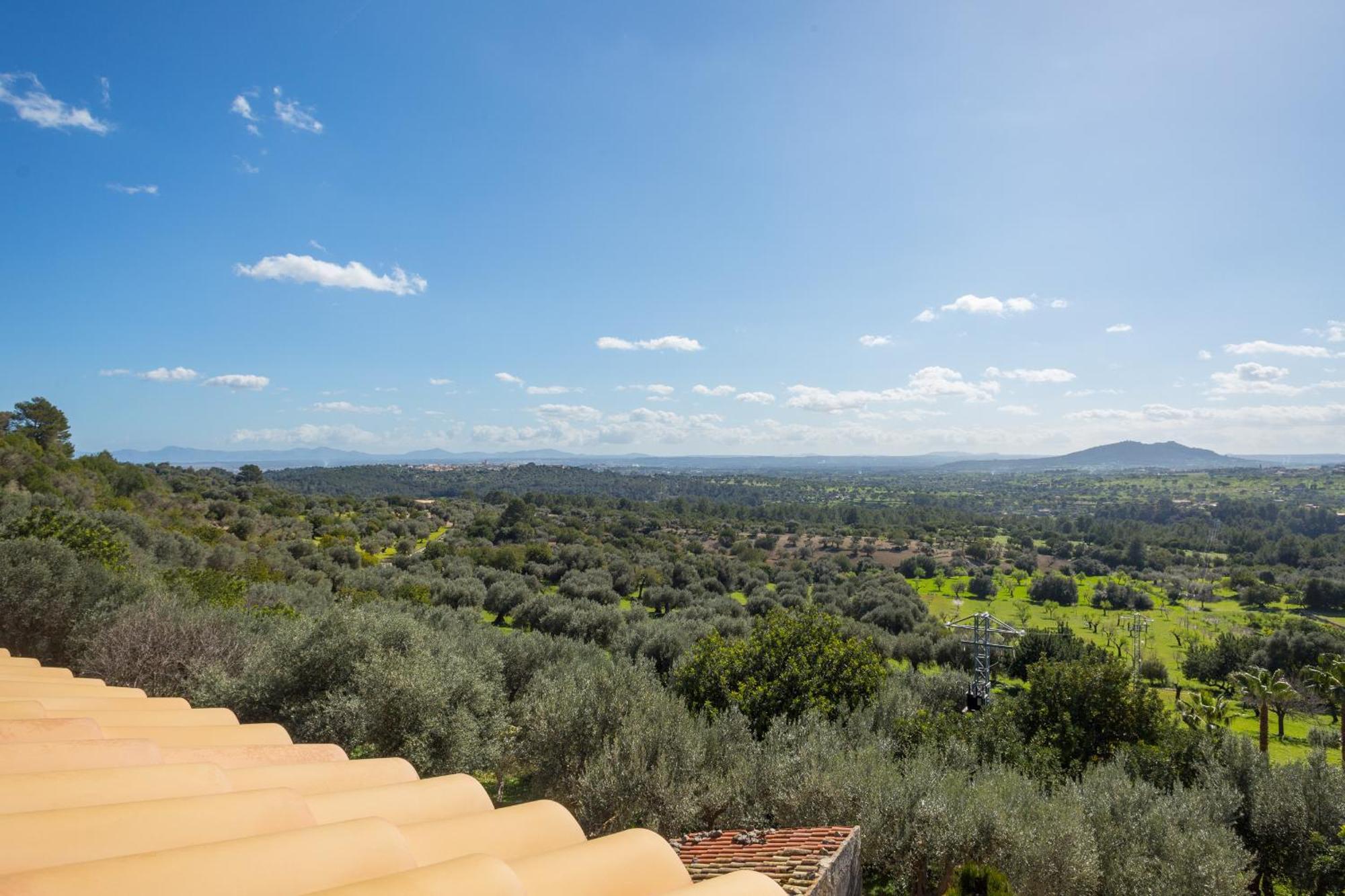 Finca Es Castell Бинибона Экстерьер фото