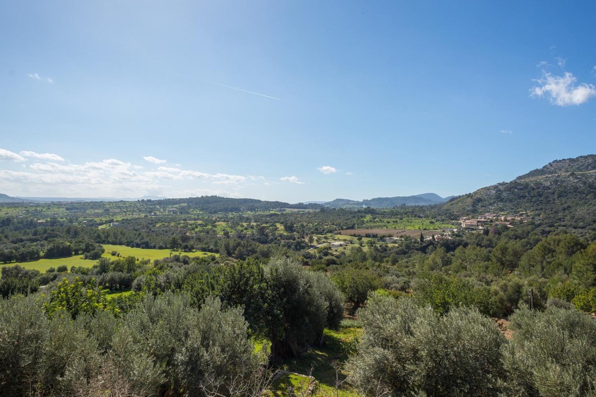 Finca Es Castell Бинибона Экстерьер фото